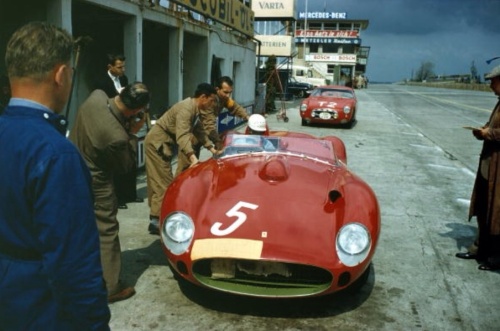 European Exotica