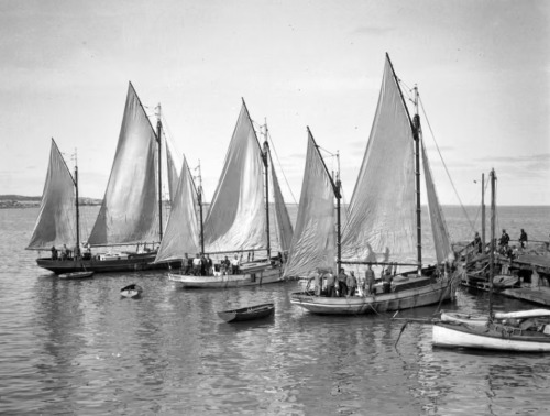 The Maritime & Angling Auction - CONSIGNING NOW