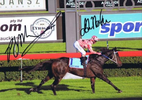 BLACK CAVIAR: A colour picture of highly successful race horse 'Black Caviar' autographed by Luke Nolen and Peter Moody