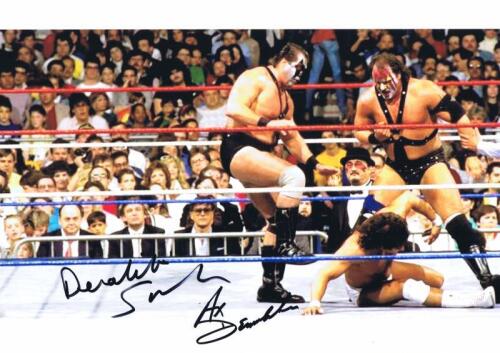AX & SMASH: A colour photo depicting Ax & Smash with Mr Fuji in the background, autographed by both Ax & Smash