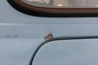 1963 Morris Mini 850 - 14