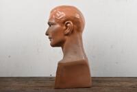 BUST: A decorative mid-century plaster bust 'Safe with a Cromwell helmet', 40cm high - 5