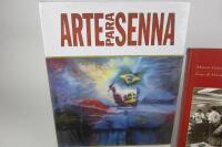 SENNA: Four books on Ayrton Senna - 5