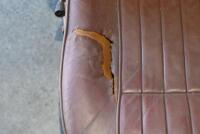 ASTON MARTIN: Seats. one pair of front seats to suit a DBS or DBS V8 model circa 1968 - 1972. - 14