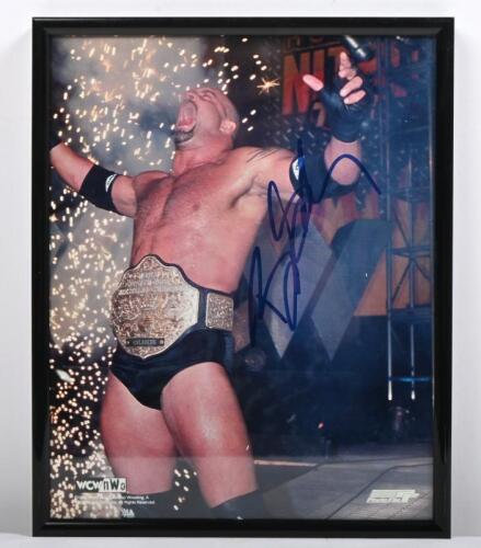 BILL GOLDBERG: A framed and glazed colour picture of Goldberg, autographed