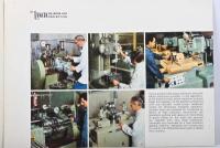FLAVIA: A 1966 Lancia 'THE flavia MODELS' model range sales brochure - 2