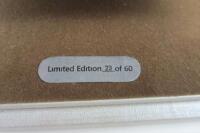 McLAREN: A 1:18 scale Tecnomodel Mythos 1969 McLaren M6 GT. L.E of 60 - 11