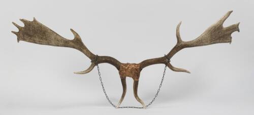 ANTLERS: A pair of antlers hanging on chain.
