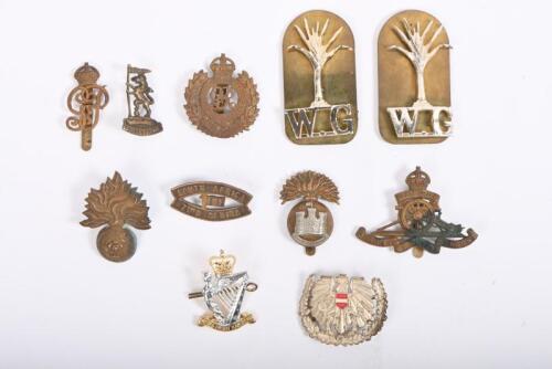 MILITARY BADGES: A collection of various military cap badges. Austrian Eagle, South African 1st Inf. & Welsh Guard epaulettes
