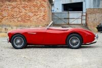 1954 Austin Healey 100-4 BN1 Roadster - Believed to have covered a mere 41,000 miles - 13