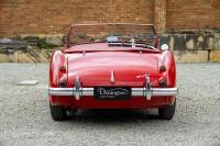 1954 Austin Healey 100-4 BN1 Roadster - Believed to have covered a mere 41,000 miles - 19