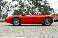 1954 Austin Healey 100-4 BN1 Roadster - Believed to have covered a mere 41,000 miles - 21