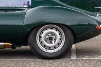 1957 Jaguar D-Type - Recreation by Tempero - 8