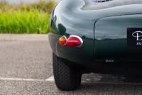 1957 Jaguar D-Type - Recreation by Tempero - 30