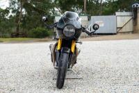 2019 Triumph Thruxton TFC - 16