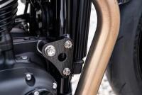 2019 Triumph Thruxton TFC - 42