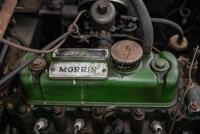 1951 Morris Minor Convertible - NO RESERVE - 86