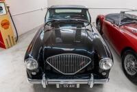 1955 Austin Healey 100 BN2 Roadster - 56