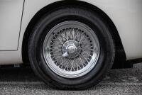 1959 AC Aceca V8 [Location: Melbourne] - 20