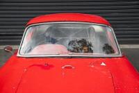1960 JWF Italia Coupe (Updated discription)- NO RESERVE - 20