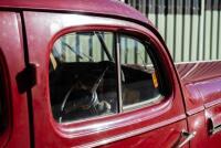 1936 Buick Series 60 Century Sedan - NO RESERVE - 47