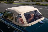 1971 Triumph TR6 Roadster [Location: Melbourne] - 104