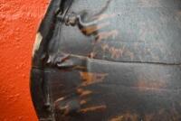 TORTOISE SHELL: An antique tortoise shell - 2