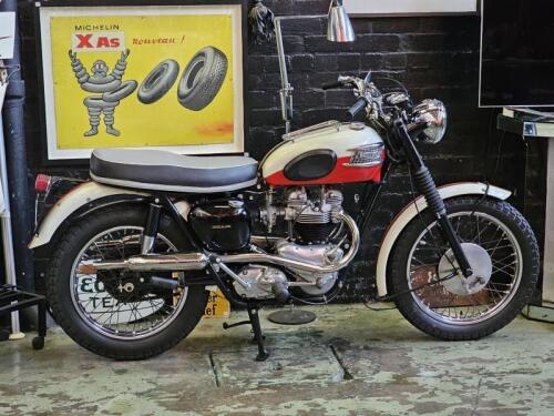 TRIUMPH: 1962 Triumph TR6 SC&nbsp;Trophy