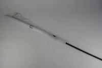 BMW F1: A BMW Williams F1 Team flag on pole - 2