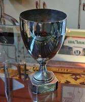 MARTINI: A MARTINI trophy goblet cup