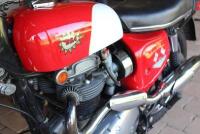 1968 BSA FIREBIRD SCRAMBLER - 7