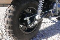 2005 Honda Z50J5 Gorilla - [Location: Sydney] - 21