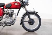 1961 BSA C15 Star 250cc Motorcycle [Location: Melbourne] - 12
