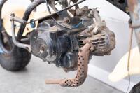 Honda QA50 Minibike (Yellow & Cream) - [Location: Melbourne] - 12