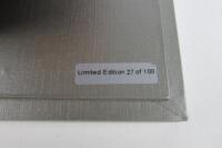 ALFA ROMEO: A 1:18 scale Alfa Romeo 33.3 Coda Lunga by Tecnomodel. - 7