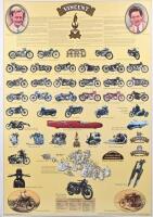 VINCENT: A 2007 'THE VINCENT' model chart poster
