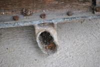 MORRIS: A circa 1920 Morris Commercial radiator core and surround [Location: Birregurra] - 4