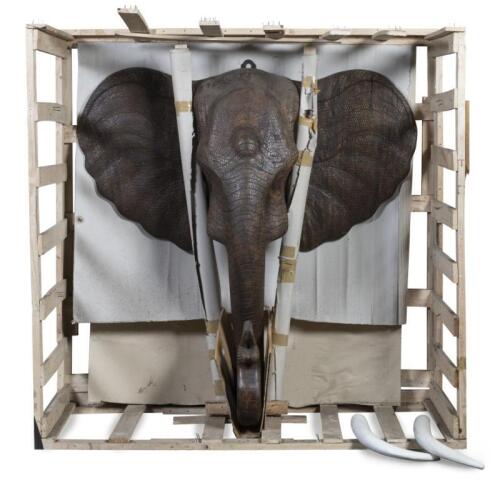A large and impressive&nbsp;wall mounted timber elephant head with faux&nbsp;tusks and swan neck position trunk, with detailed carvings, currently within timber traveling crate&nbsp;153.5&nbsp;high, 155&nbsp;wide