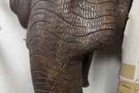 A large and impressive&nbsp;wall mounted timber elephant head with faux&nbsp;tusks and swan neck position trunk, with detailed carvings, currently within timber traveling crate&nbsp;153.5&nbsp;high, 155&nbsp;wide - 4