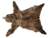 An antique brown-bear skin rug, 209cm long, 155cm wide. [Ex-Bonhams 2010, Sale 19041, Lot 369] [Saleroom Notice] - 2