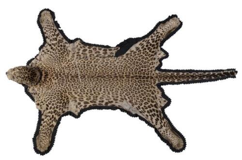 A leopard skin pelt, 230cm long, 150cm wide. [Ex-Bonhams 2010, Sale 19041, Lot 368]