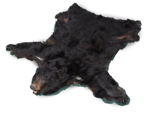 A medium sized North American black bear rug, 170cm long [Ex-Bonhams 2010, Sale 19041, Lot 757]