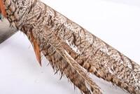 TAXIDERMY: A 'Lady Amherst&rsquo;s Pheasant' mounted on base, 354cm high, approximately 67cm long. - 7