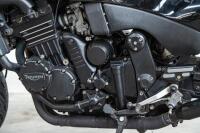1995 Triumph Speed Triple - [Cheltenham] - 6