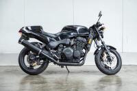 1995 Triumph Speed Triple - [Cheltenham] - 16