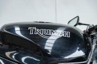 1995 Triumph Speed Triple - [Cheltenham] - 24