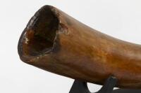 An exceptionally rare and ancient Woolly Mammoth Tusk discovered in Siberia Russia, display on custom timber base, the tusk measures 170cm long, 15cm wide at largest point. - 2