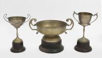 TROPHIES: A collection of various trophies, tallest 27cm high