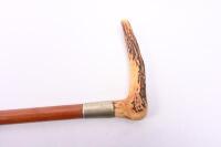 CANE: An antique&nbsp;processional cane with bone handle, likely stag. 88cm tall. - 3