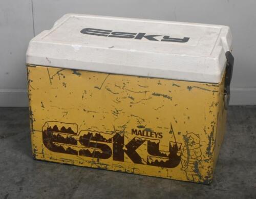 ESKY: A c1970s-1980s Malleys Esky in yellow, 57cm wide, 32cm deep, 38cm high.